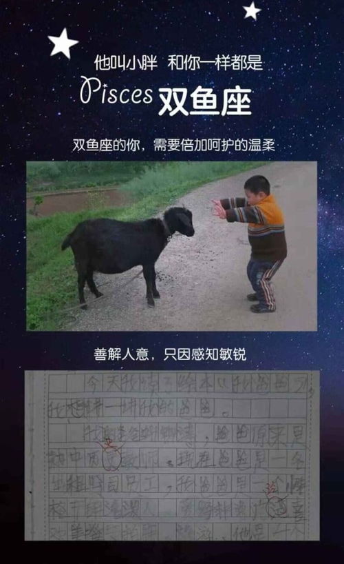 你听 双鱼座 星星的孩子 的故事