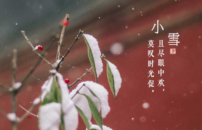 小雪节气的句子