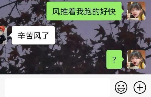 这么有趣的对象你们都是在哪找的