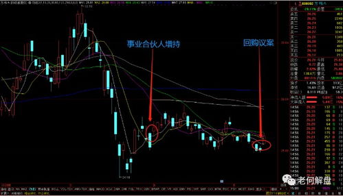 不放量的大涨说明什么