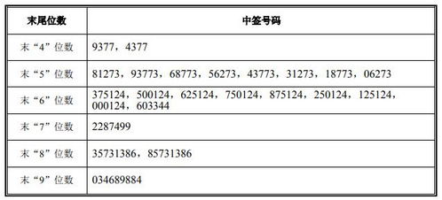 碧兴物联新股中签号公布