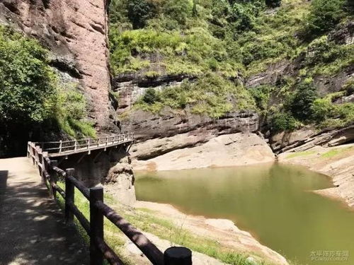 上海到神仙居自驾最快路线,神仙居自驾游旅游攻略(仙居免费停车场有哪些地方)