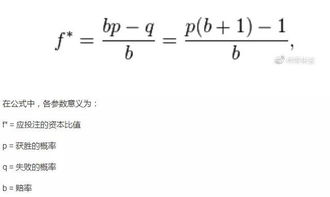 如何用凯利公式计算单一股票的仓位