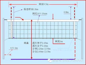 排球比赛规则 室内硬排 