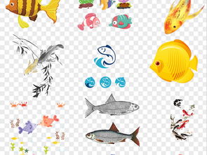 可爱卡通海洋热带鱼群海洋动物png图片素材 模板下载 16.28MB 动物大全 自然 