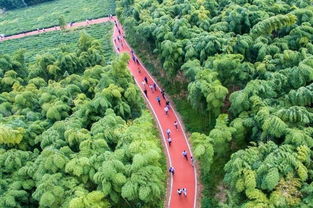 余姚市区内有什么很好玩的旅行地 (余姚龙山公园有免费停车场吗)