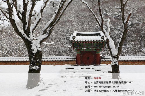 雪后,更为浪漫的南道