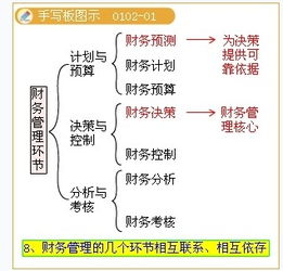 请帮忙解释一下财务预测财务计划财务预算的区别以及各自包含的内容