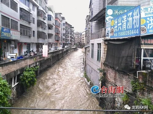 福建龙岩新罗中城街道