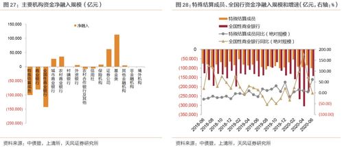 资金净融入是什么意思？