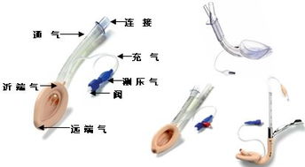 双管的介绍 