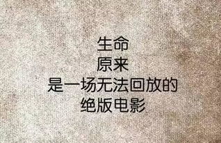 主角感悟人生(人生小说读后感)