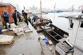 青岛市北小港码头从繁荣走向衰败 仅1家水产商户车船稀