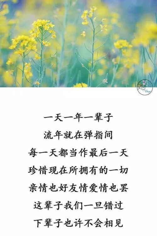 心情不好时,看看这段话