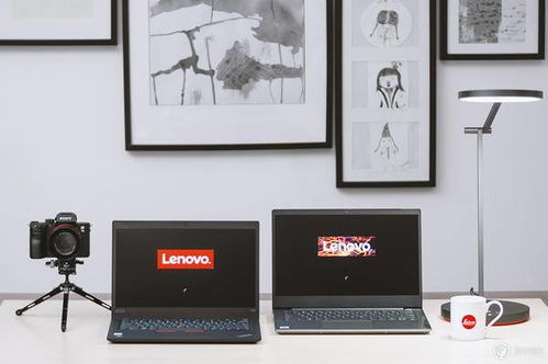 李逵 李鬼 ThinkPad X395 与 ThinkBook 14 开箱