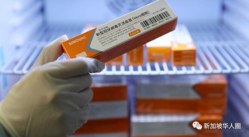 科兴疫苗需求激增,新加坡有诊所计划进口更多 包括中国国药疫苗