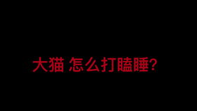 基督城名字的由来和基督有什么关系