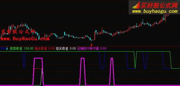 通达信交易系统测试 策略公式每个股票只交易一次？