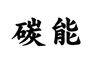 陕西碳能新材料有限责任公司怎么样？