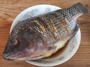 吉庆有鱼的做法,吉庆有鱼怎么做好吃,吉庆有鱼的家常做法 田园 