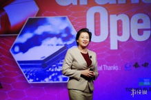 AMD19第一季度财报 净利润1600万,同比下滑80