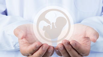 子宫内膜有哪些问题会影响试管婴儿成功率？