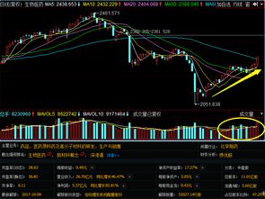 代码尾号为809,779的白酒板块股票