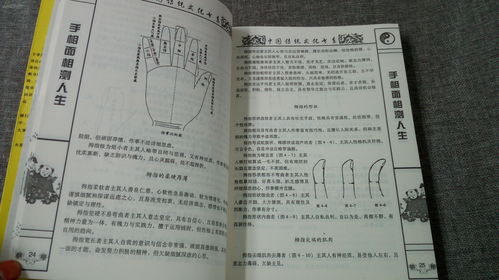 称骨和八字结果不一样