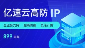 国内哪家BGP高防服务器防御DDOS CC效果比较好的 (云服务器cc高防)