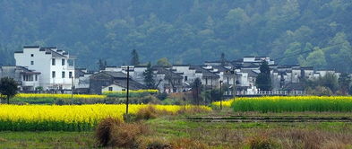 思溪延村旅游(思溪延村门票多少钱思溪延村游玩攻略)