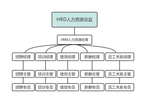 行政 人事的组织架构,要如何设计并搭建