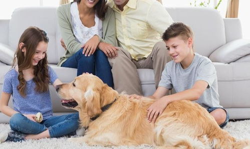 孩子喜欢和狗狗接触,身为家长的你,为什么要去阻挠干涉