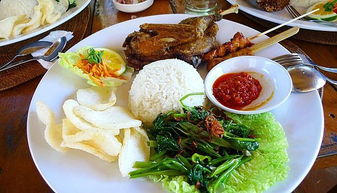 巴厘岛旅游可以自热米饭吗(巴厘岛旅游可以自热米饭吗现在)（巴厘岛网红餐厅推荐）