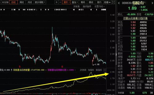 海南航空最近是否会上涨？是补仓还是持有？