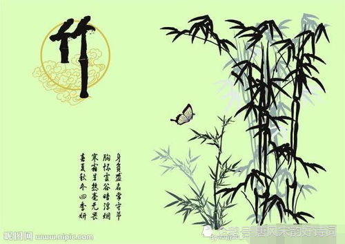 关于松和竹的诗句