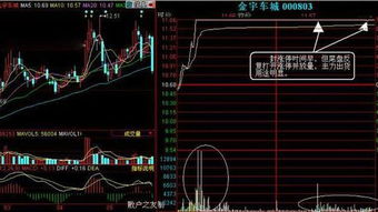 什么叫庄家,主力散户跟风 什么区别?