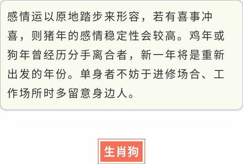 2019年,十二生肖运势大全 快来看看你的运势如何