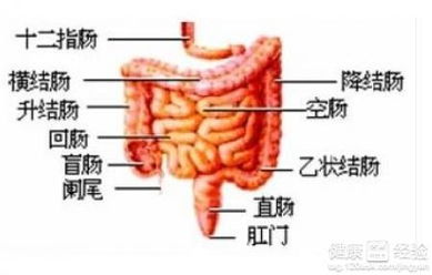 0做了直肠癌手术发现肺部有转移怎么办