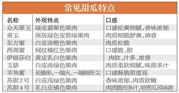 51cgfun每日吃瓜指南，超实用防走丢攻略解析