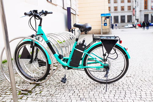 电动自行车用锂离子蓄电池 安全使用白皮书 2020版 发布