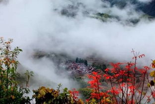 高温橙色预警四连击 探寻上海周边避暑胜地,有山有水有凉意