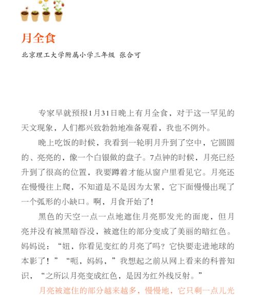 开学特惠 四位名师教你写高分作文