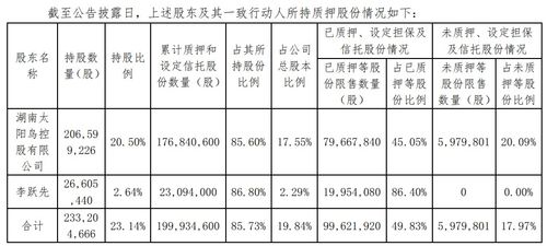 亚光科技可转债何时发行