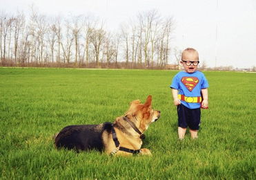 美国男婴与宠物狗亲密相伴 照片萌煞网友 