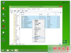 win10开机不显示多系统选择