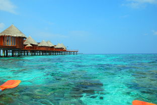 1月马尔代夫旅游一个人去一趟马尔代夫最少花费多少（去一趟马尔代夫两个人多少钱）