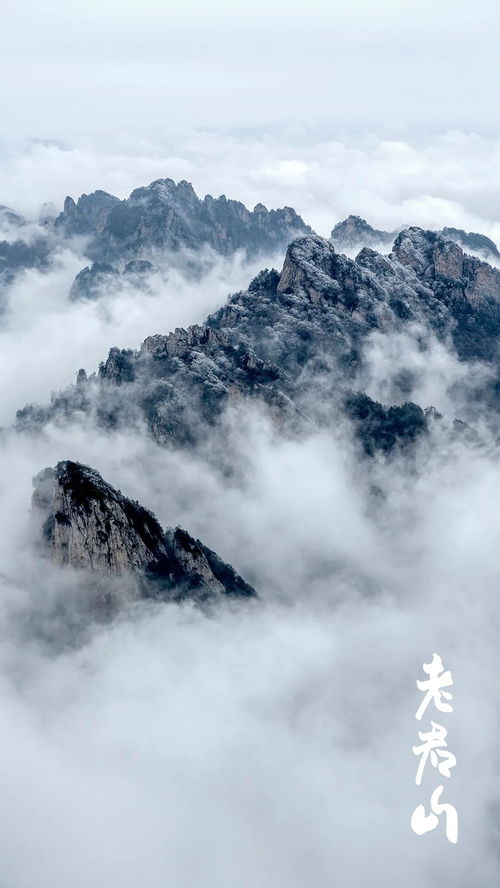 云海手机壁纸老君山 图片搜索