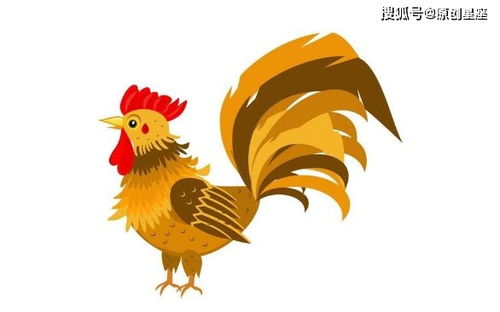 2021年 鸡鸡鸡 运势,穿2种颜色衣服最旺财 12月31日开始转运