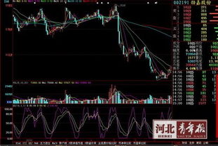 近期劲嘉股份这支股票怎么样，压力位是多少我11.55元的成本，何时能解套？