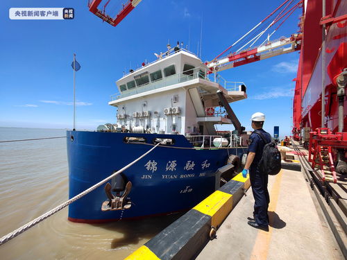 海运集装箱重量验证监控系统洋山港试运行 进博会前正式启用